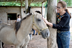 Vereadora Lourdes Sprenger em visita ao Abrigo de Equinos da EPTC