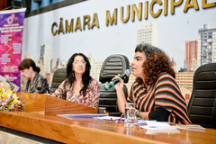Jussara Reis Prá (ao microfone), durante seminário na Câmara