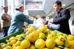 Prefeitura terá de comprar alimentos orgânicos para oferecer a alunos da rede municipal