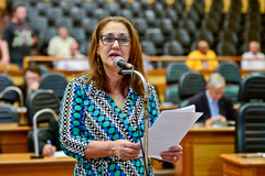 Vereadora Lourdes Sprenger (PMDB), autora do Projeto. Foto: Guilherme Almeida