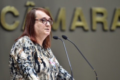 Luísa Stern (PT) defendeu a criação de Conselho Municipal LGBT 