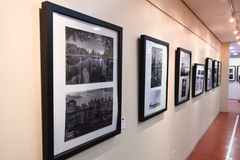 Fotos premiadas e selecionadas integram exposição realizada na Câmara Municipal