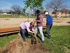 Dia da Árvore: Vereador André Carús realiza plantio no Parque Mascarenhas de Moraes