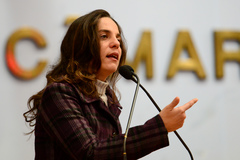 Vereadora Fernanda Melchionna defendeu o projeto na sessão desta quarta