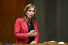 Presidente da Câmara, vereadora Mônica Leal (PP)