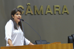 Vereadora suplente Fernanda Jardim (DEM)