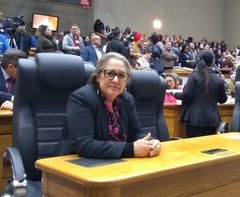 Vereadora Lourdes em Plenário