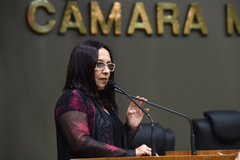 Vereadora Claudia Araújo é a proponente da homenagem