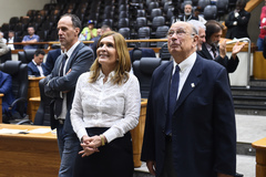 Vereadores Marcelo Sgarbosa, Mônica Leal e Reginaldo Pujol acompanham a votação 