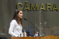 Vereadora Mari Pimentel (NOVO)