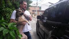 PL sugere colocação de ração e água para animais de rua em Porto Alegre