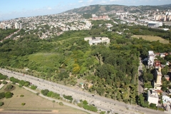 Área do Jardim Botânico é de 39 hectares / (Foto: Fundação Zoobotânica do RS)