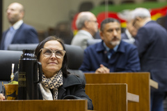 Movimentação de Plenário. No destaque a vereadora Cláudia Araújo