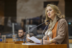 Sessão seolene de outorga do título de cidadão de porto alegre ao vice-governador Gabriel Vieira de Souza. Na tribuna, a vereadora proponente da homenagem, Lourdes Sprenger.