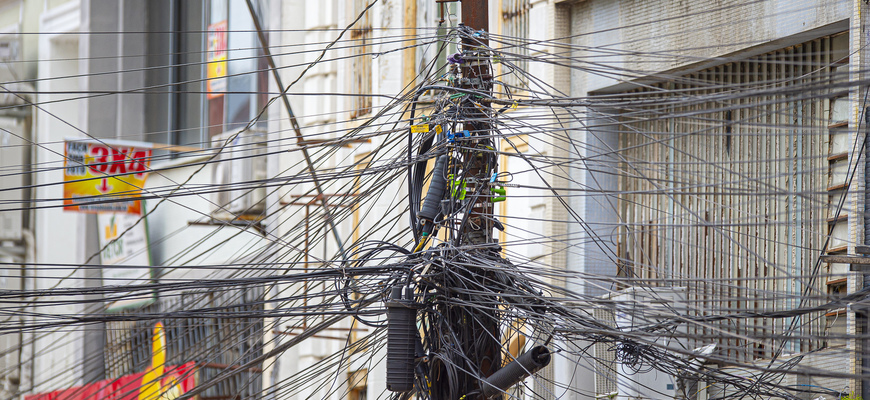 Iniciativa busca adaptar fiação e estruturas de energia elétrica para evitar acidentes com animais