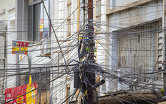 Iniciativa busca adaptar fiação e estruturas de energia elétrica para evitar acidentes com animais